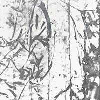 vignette 081108BOE