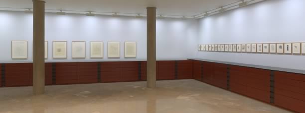 photo gigapixel art works LTP